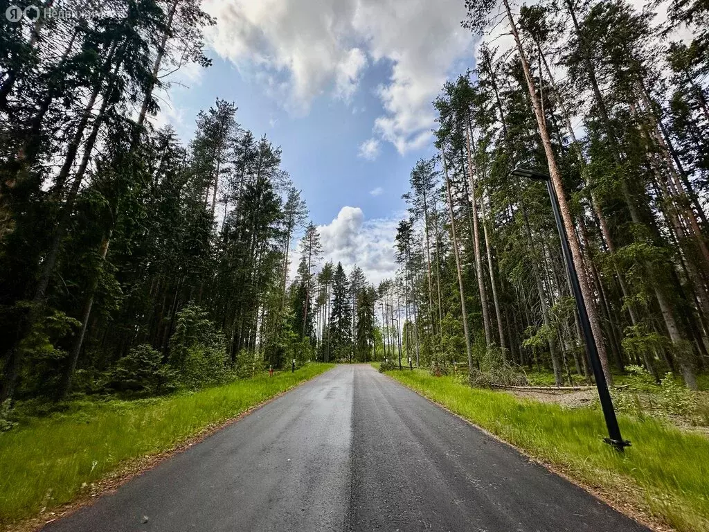 Участок в Рощино, КП Еловая Усадьба (12.48 м) - Фото 1