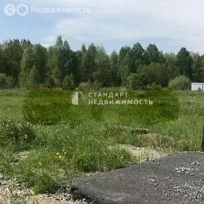 Участок в Тюмень, микрорайон Тарманы, Андреевская улица, 20 (8.2 м) - Фото 1