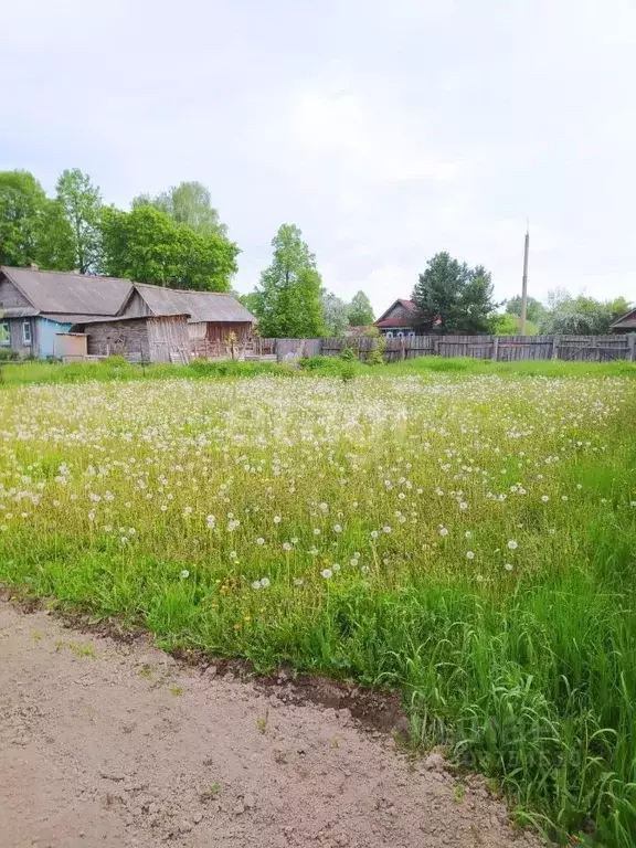 Участок в Марий Эл, Юрино городское поселение, Юрино пгт ул. Красная ... - Фото 0