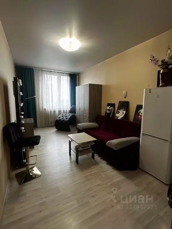 Студия Московская область, Ивантеевка Пушкинский городской округ, ... - Фото 1