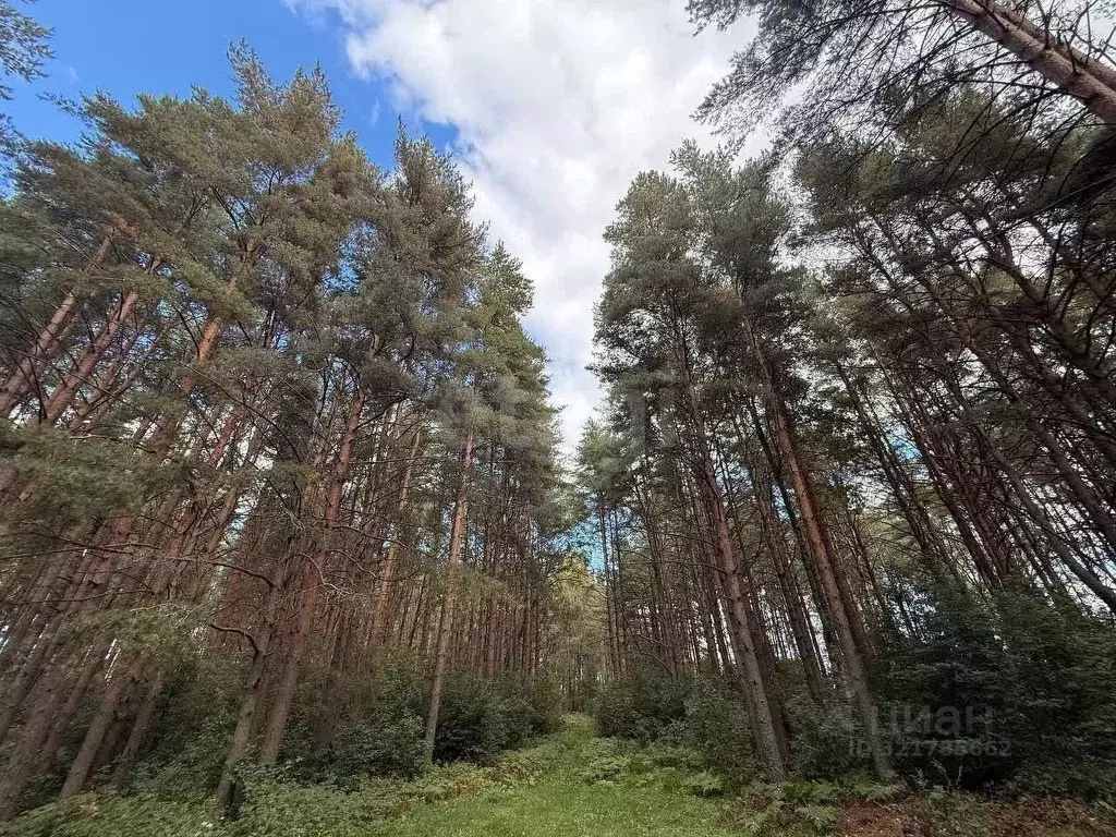 Дом в Ярославская область, Рыбинский муниципальный округ, д. Большой ... - Фото 1