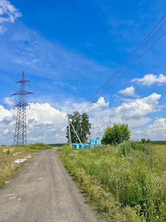 Участок 6,2 сот. (СНТ, ДНП) - Фото 1