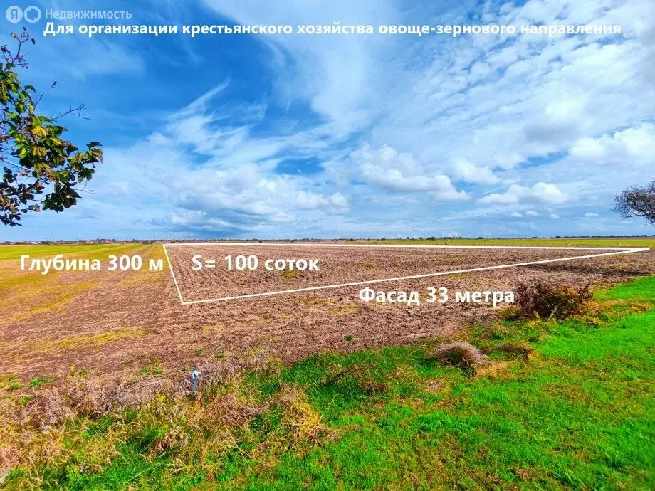 Участок в Темрюкский район, Запорожское сельское поселение, посёлок ... - Фото 2