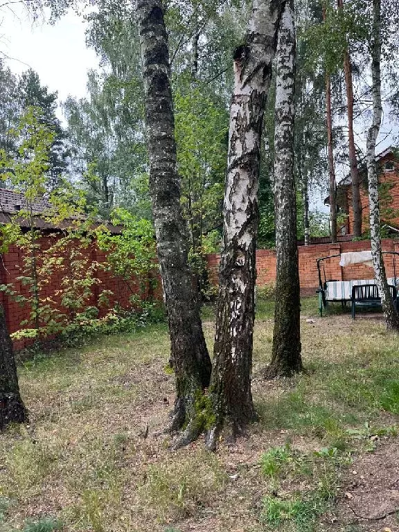 Продается участок в пгт Родники - Фото 1