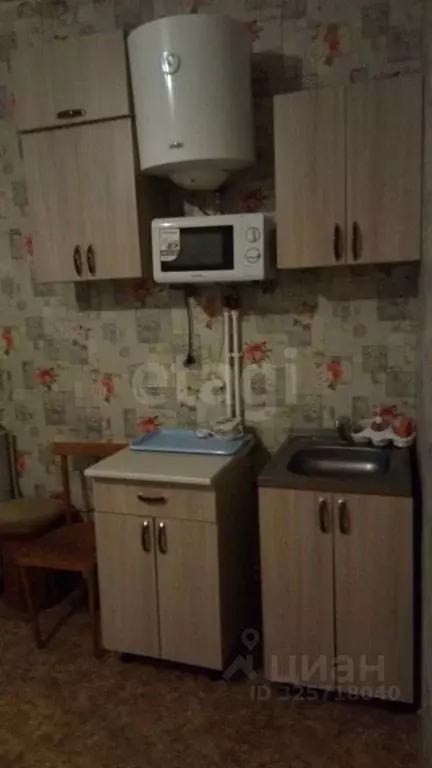 Студия Новосибирская область, Черепановский район, Дорогино рп ул. ... - Фото 1