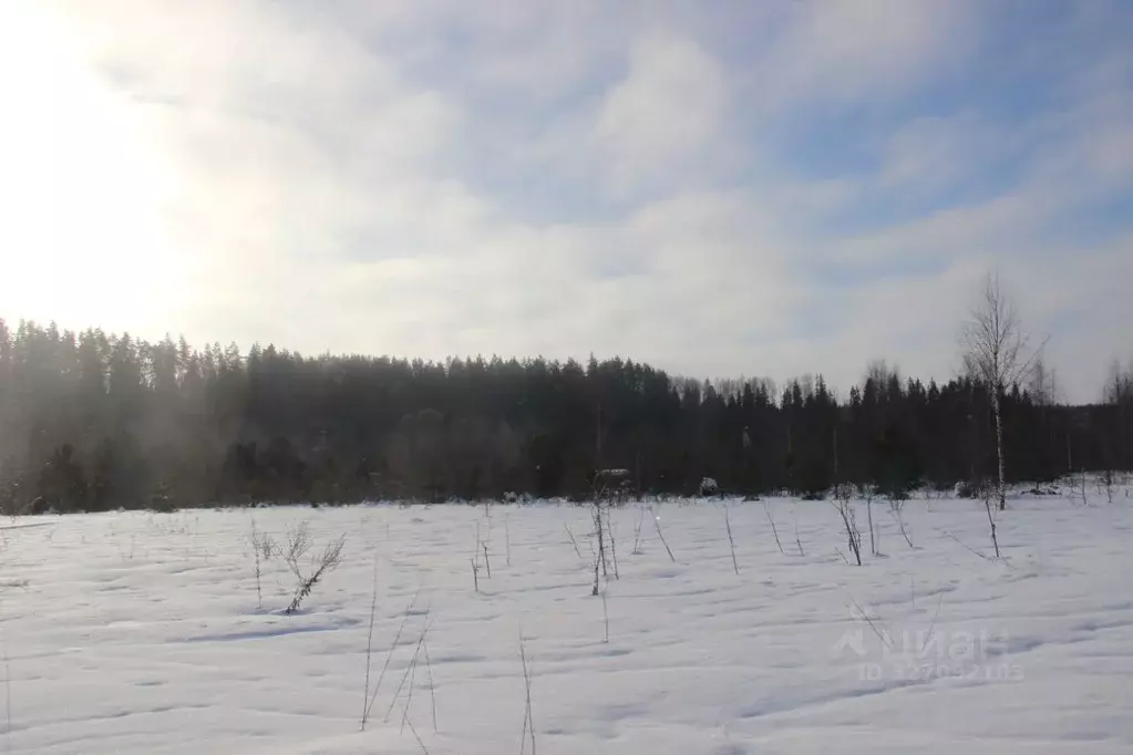 Участок в Московская область, Шаховская муниципальный округ, д. ... - Фото 2