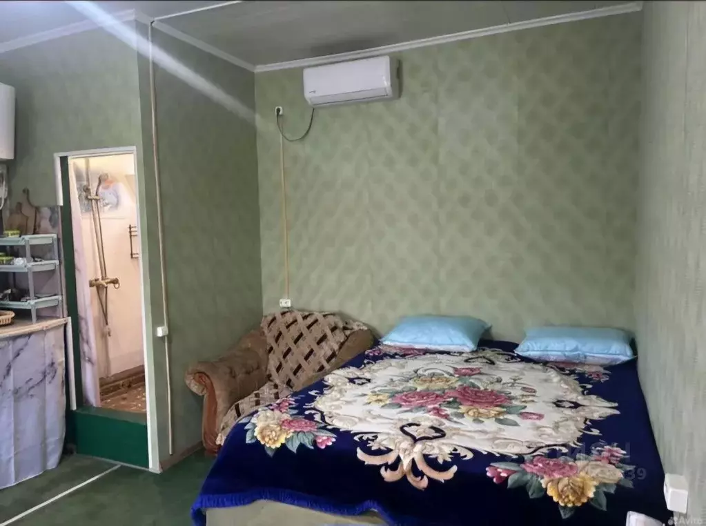 Дом в Краснодарский край, Сочи городской округ, с. Веселое пер. ... - Фото 1