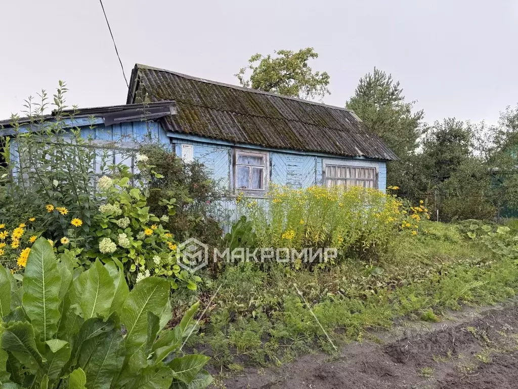 Дом в Брянская область, Брянск Мичуринец садовое общество, 431 (15 м) - Фото 1