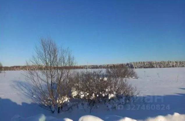 Участок в Московская область, Дмитровский муниципальный округ, с. ... - Фото 1