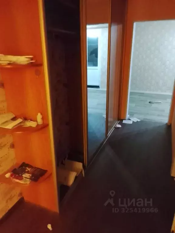 2-к кв. Хабаровский край, Хабаровский район, с. Краснореченское ул. ... - Фото 2