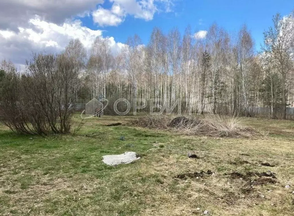 Участок в Тюменская область, Тюмень Поле Чудес садовое товарищество, ... - Фото 2