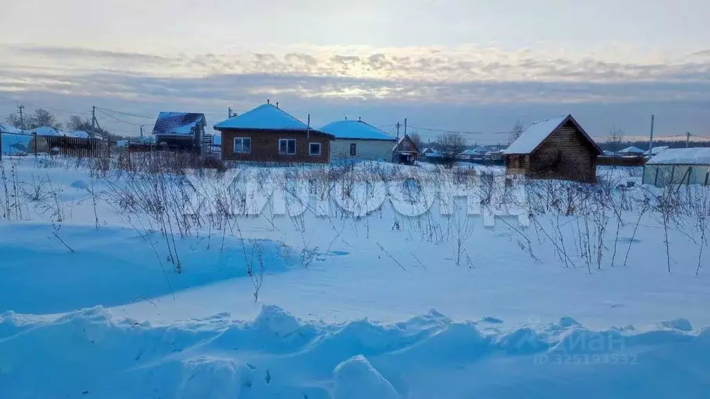 Участок в Новосибирская область, Новосибирский район, Станционный ... - Фото 1