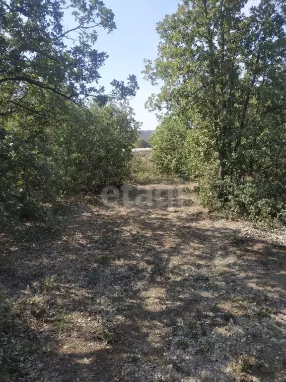 Участок в Севастополь Минер садоводческое товарищество, 55 (8.39 сот.) - Фото 1