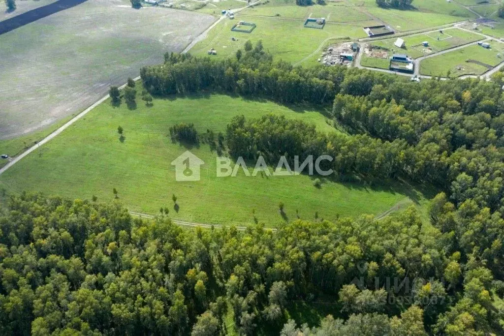 Участок в Новосибирская область, Новосибирский район, Морской ... - Фото 1