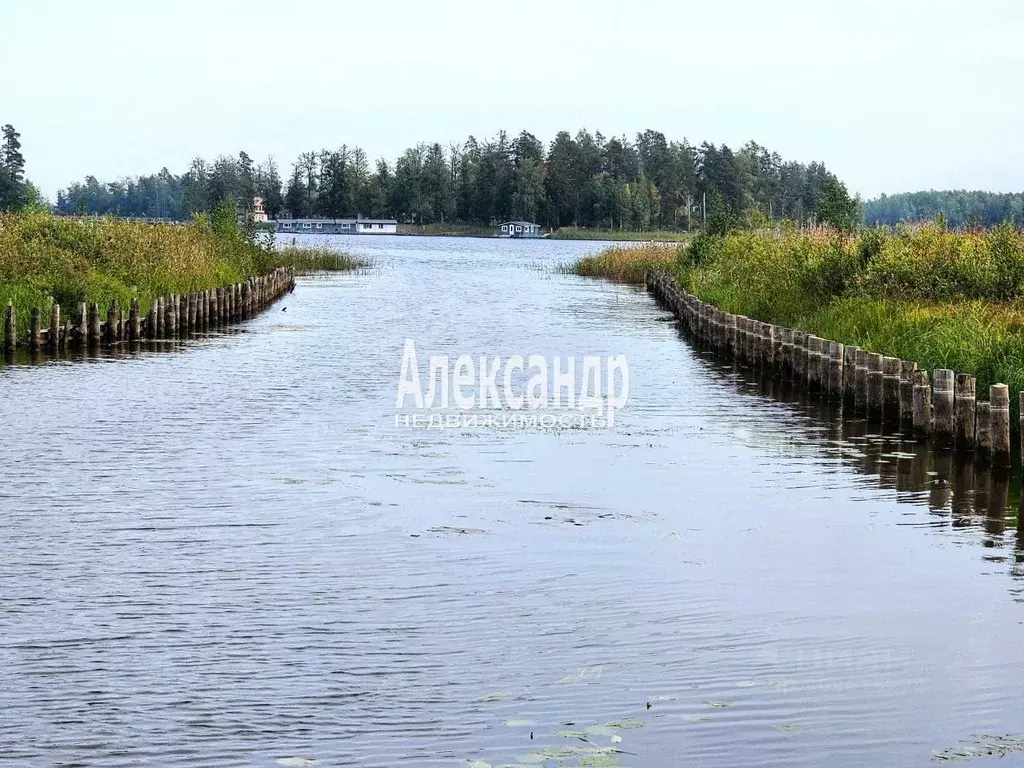 Участок в Ленинградская область, Приозерский район, Ларионовское ... - Фото 0