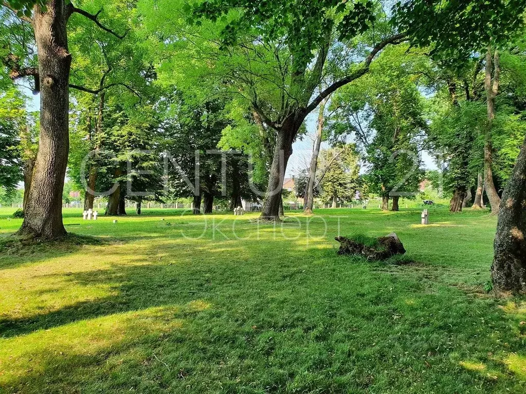 Участок в Калининградская область, Приморск  (8.36 сот.) - Фото 1