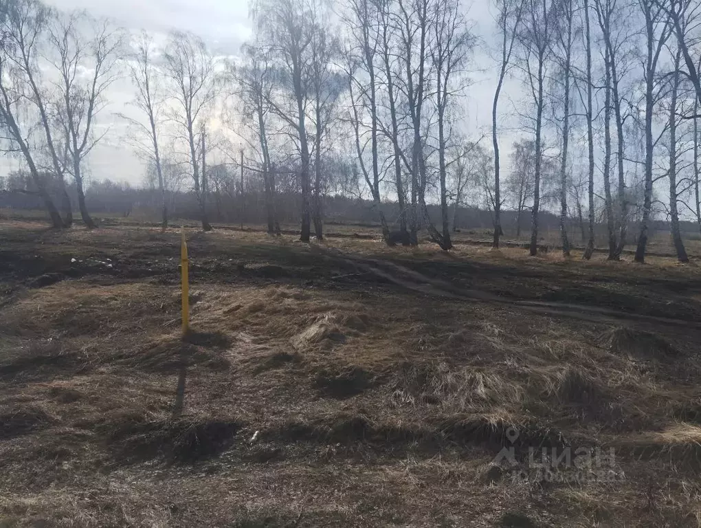 Участок в Курганская область, Катайский муниципальный округ  (17.0 ... - Фото 0