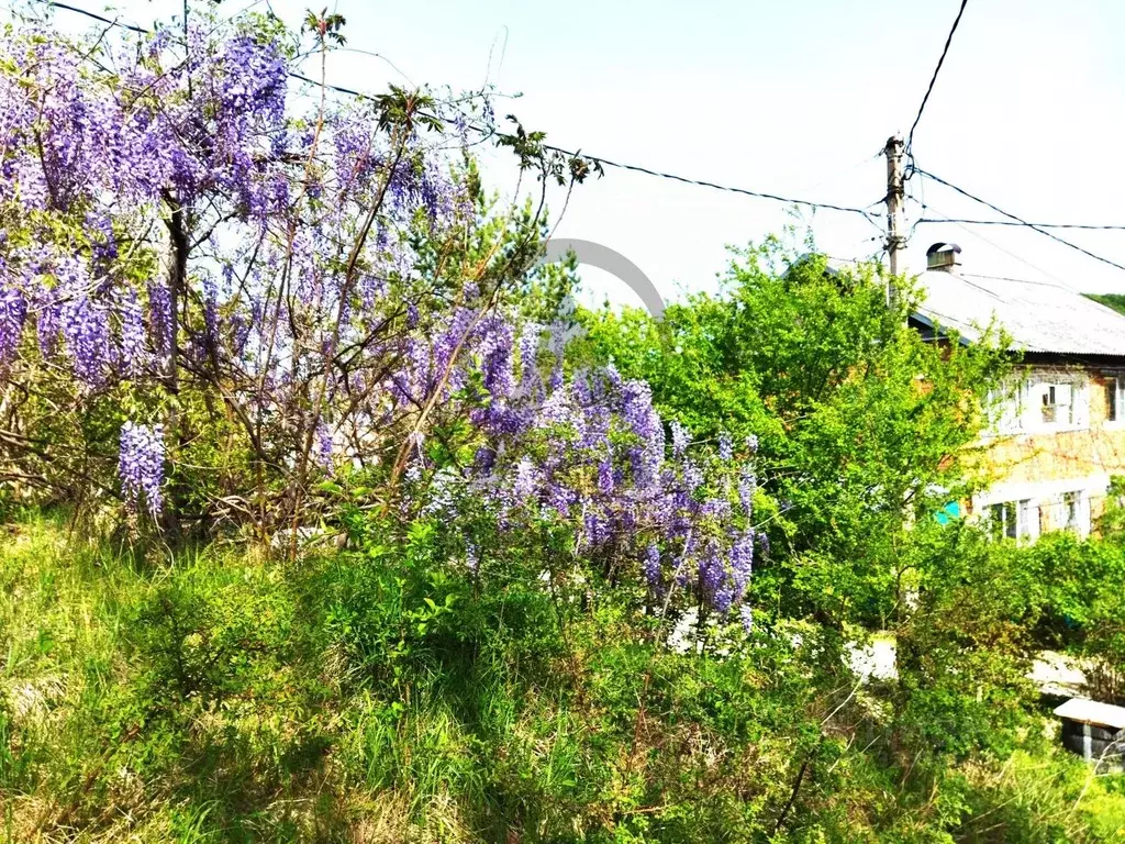 Участок в Краснодарский край, Апшеронский район, Куринская ст-ца ... - Фото 1