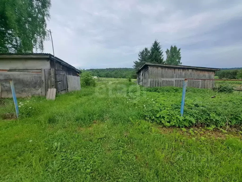 Участок в Вологодская область, Шекснинский муниципальный округ, ... - Фото 0