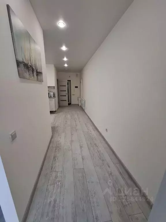 Студия Калининградская область, Светлогорск ул. Кленовая, 2 (37.0 м) - Фото 2