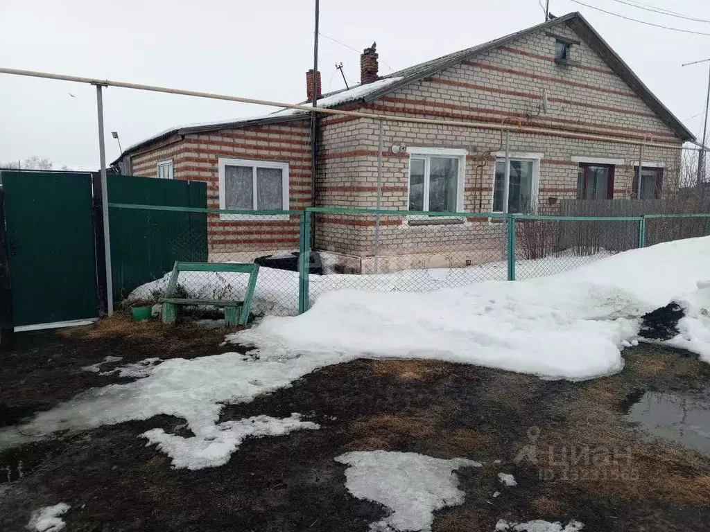 Дом в Челябинская область, Уйский район, с. Нижнеусцелемово ул. ... - Фото 0