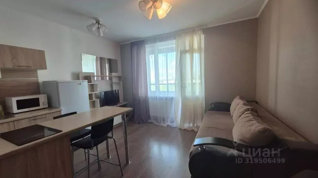 Студия Санкт-Петербург просп. Ветеранов, 169к1 (24.3 м) - Фото 1