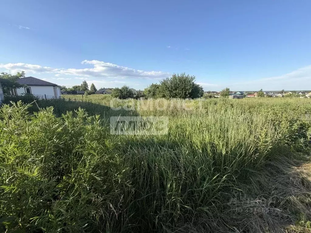 3-к кв. Пензенская область, с. Бессоновка ул. Фестивальная, 1 (64.9 м) - Фото 1