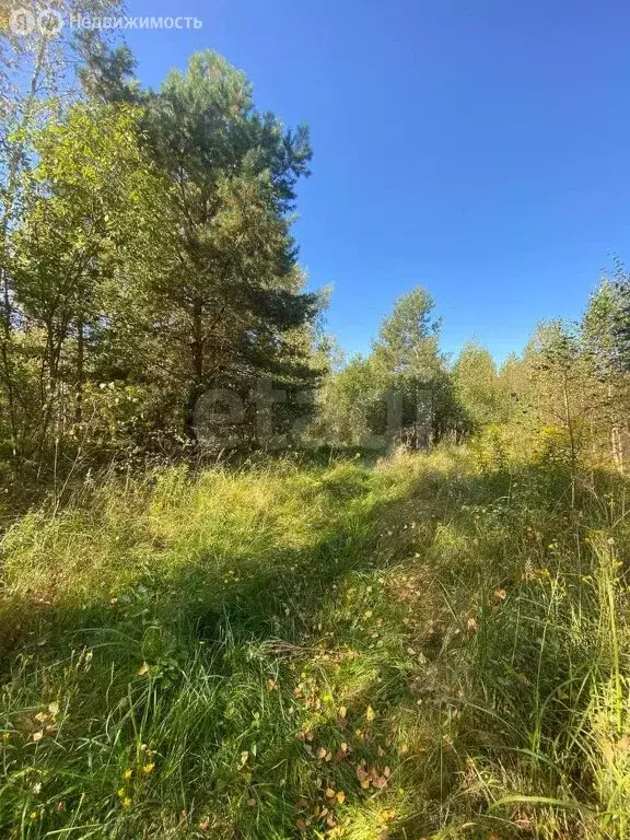 Участок в Выгоничский район, Хмелевское сельское поселение, деревня ... - Фото 0
