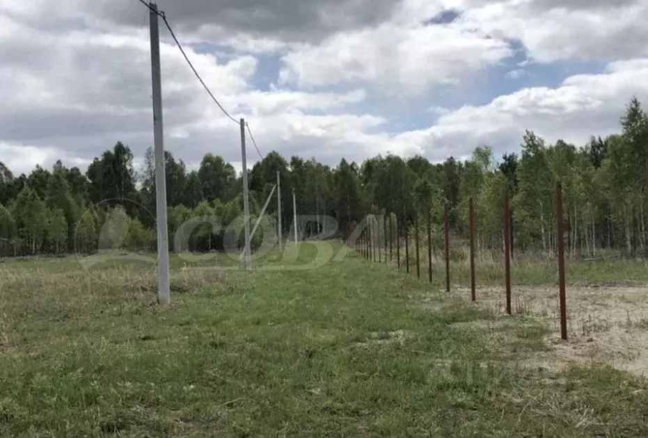 Участок в Тюменская область, Нижнетавдинский район, Журавли ДНП  (10.0 ... - Фото 0