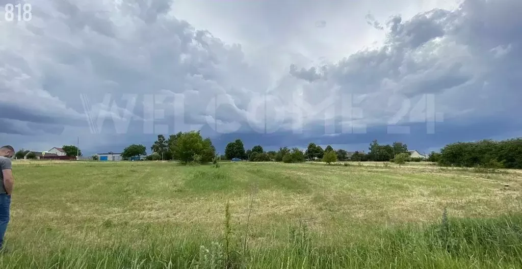 Участок в Белгородская область, Белгородский район, Новосадовское ... - Фото 0