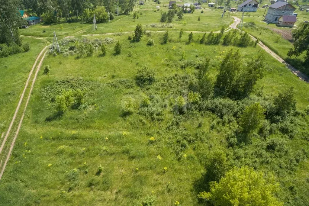 Участок в Алтайский край, Первомайский район, с. Санниково, Овощевод ... - Фото 1
