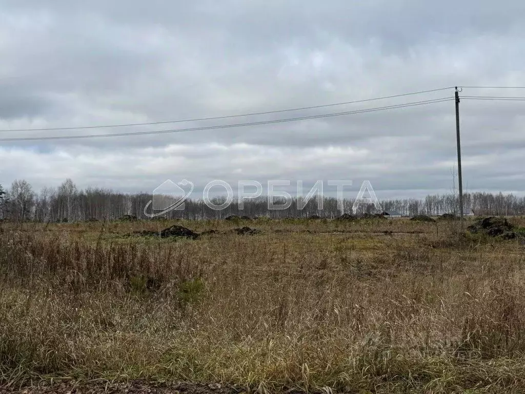 Участок в Тюменская область, Тюмень Мыс мкр, ул. Ушакова (7.0 сот.) - Фото 1