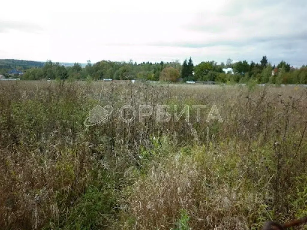 Участок в Тюменская область, Тюменский район, Нива СНТ  (9.0 сот.) - Фото 0