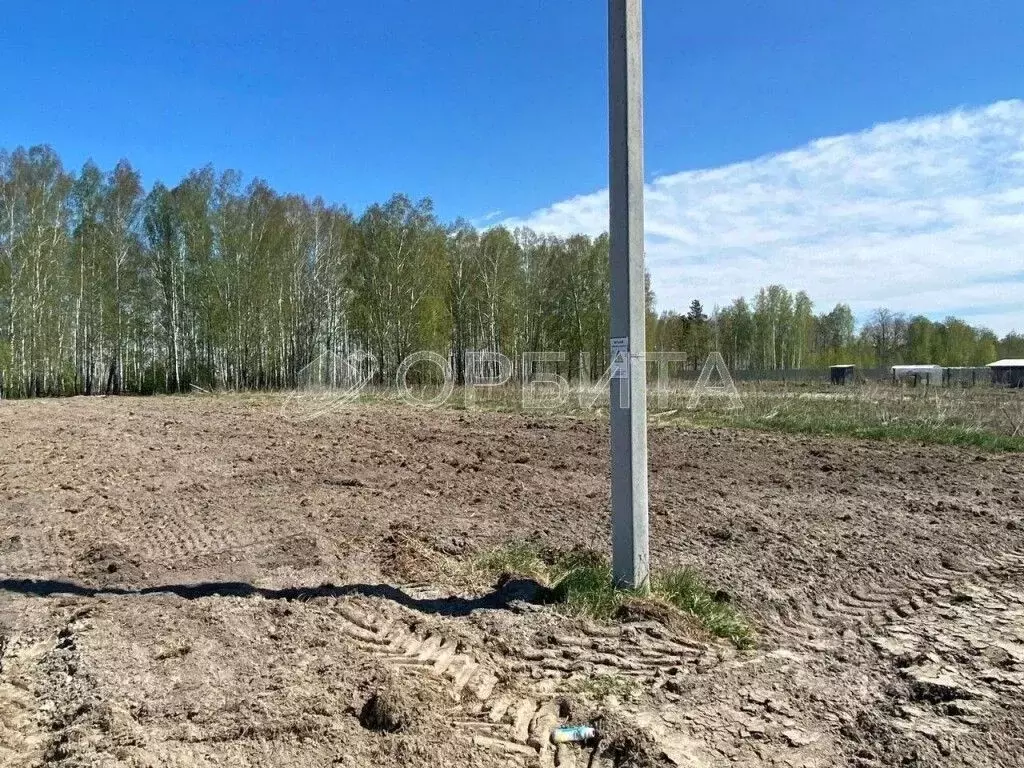 Участок в Тюменская область, Нижнетавдинский муниципальный округ, ... - Фото 2