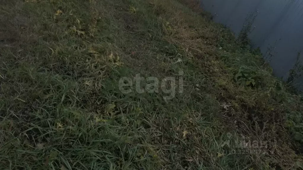 Дом в Саратовская область, Воскресенский район, Елшанское ... - Фото 2