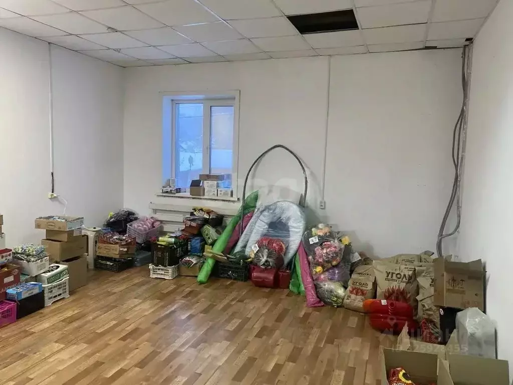 Торговая площадь в Алтай, Чойский район, с. Паспаул Береговая ул. (312 ... - Фото 2