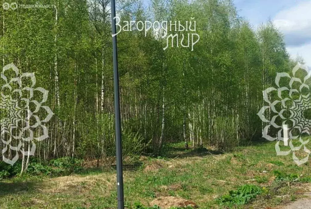 Участок в Московская область, муниципальный округ Истра, деревня ... - Фото 2