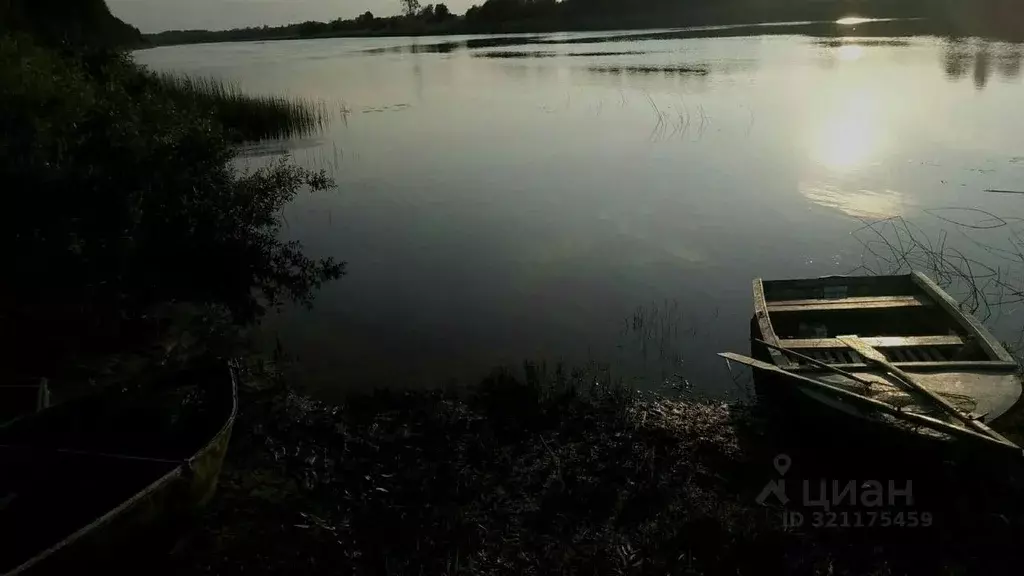 Участок в Вологодская область, Сокольский муниципальный округ, с. ... - Фото 2