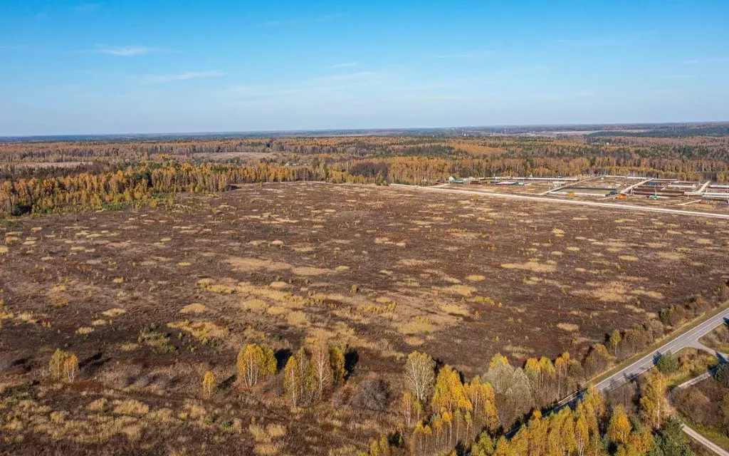 Участок в Московская область, Ступино городской округ, с. Починки  ... - Фото 1