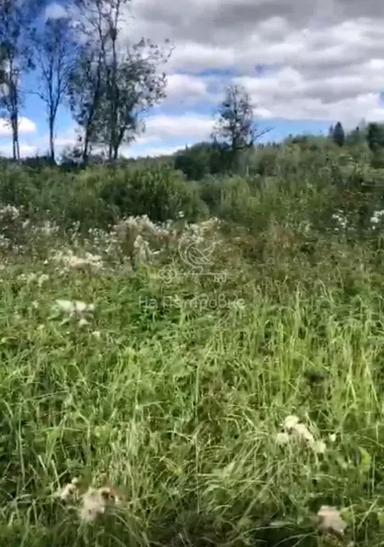 Участок в Московская область, Волоколамский городской округ, д. ... - Фото 1