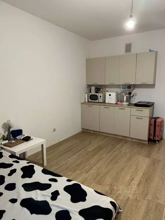 Студия Санкт-Петербург пос. Шушары, просп. Новгородский, 2к3 (25.0 м) - Фото 2