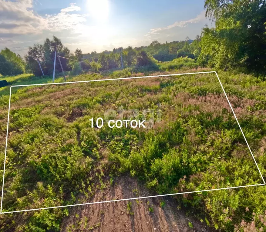 Участок в Московская область, Клин городской округ, д. Сохино 55Б ... - Фото 2