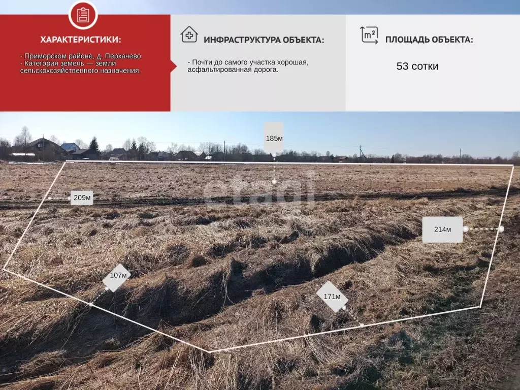 Участок в Архангельская область, Приморский муниципальный округ, д. ... - Фото 1