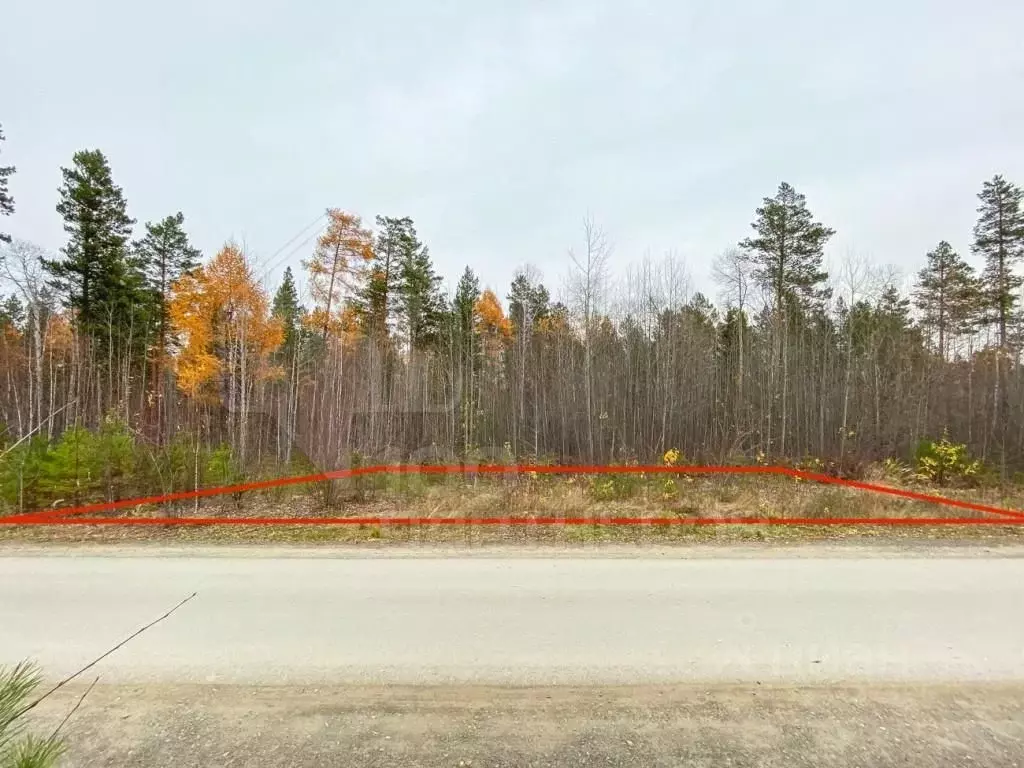 Участок в Иркутская область, Иркутский муниципальный округ, Светлый Яр ... - Фото 1