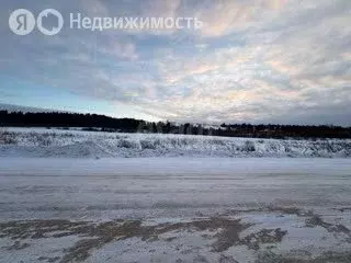 Участок в Вологодская область, Великоустюгский муниципальный округ, ... - Фото 2
