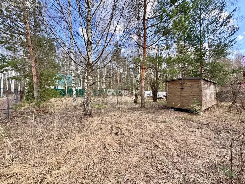 Участок в Богородский городской округ, СНТ Тихие Зори, 197 (6 м) - Фото 2
