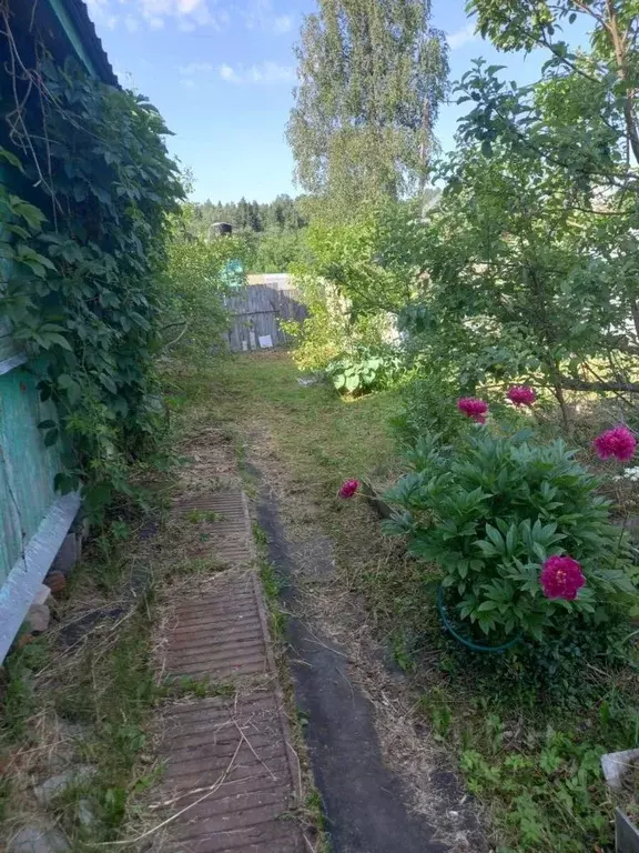 Дом в Ленинградская область, Волосовский район, Сабское с/пос, д. ... - Фото 2