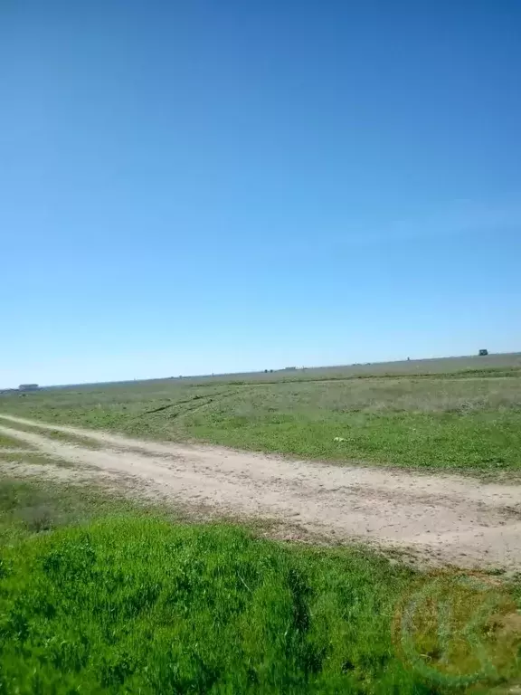 Участок в Крым, Сакский район, с. Молочное  (581.0 сот.) - Фото 1