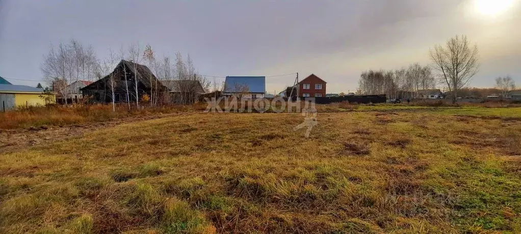 Участок в Новосибирская область, Новосибирск Пашино мкр, ул. ... - Фото 0