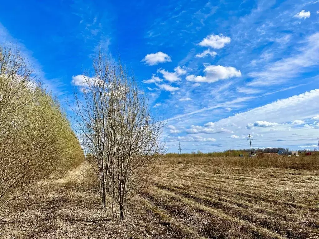 Участок в Ленинградская область, Тосненский район, Федоровское ... - Фото 0